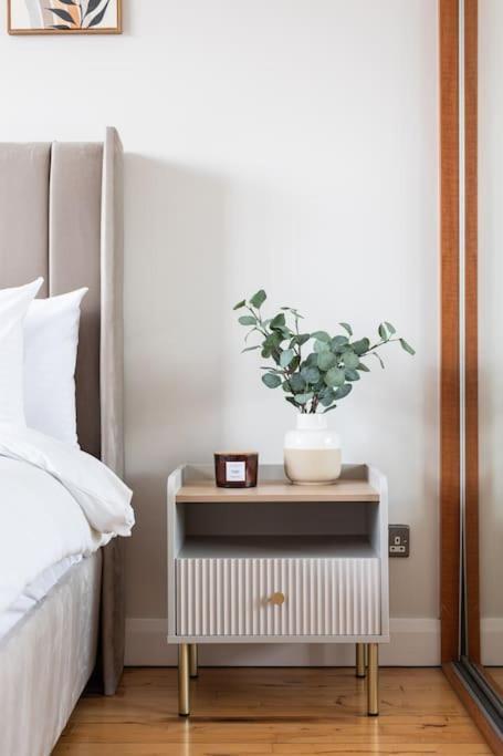 Modern Penthouse Apartment 2 Bed, 2 Bath Sleeps 6 City Centre Belfast Extérieur photo