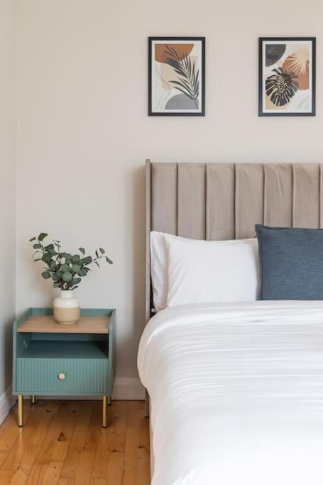 Modern Penthouse Apartment 2 Bed, 2 Bath Sleeps 6 City Centre Belfast Extérieur photo